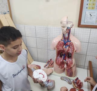 Aulo de Cincias com o 5 Ano A e B