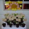  - Colgio Passionista Joo XXIII