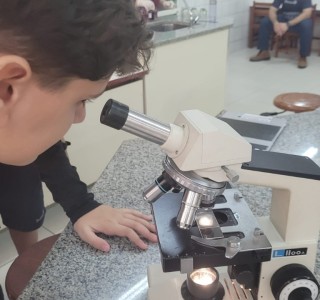 Clulas da cebola no microscpio - Colgio Passionista Joo XXIII