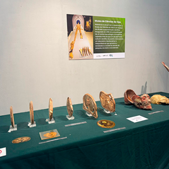 Viagem de estudos ao Museu Mello leitão em Santa Teresa - Colégio Passionista João XXIII Viagem de estudos ao Museu Mello leitão em Santa Teresa - Colégio Passionista João XXIII