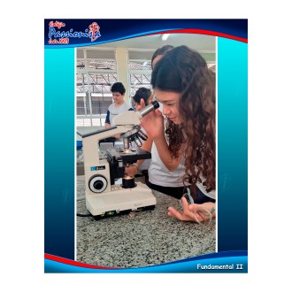 Aula de Microscopia - Fundamental II. - Colégio Passionista João XXIII Aula de Microscopia - Fundamental II. - Colégio Passionista João XXIII