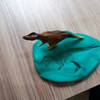 Estudo dos Fósseis - 4º Ano - Colégio Passionista João XXIII Estudo dos Fósseis - 4º Ano - Colégio Passionista João XXIII