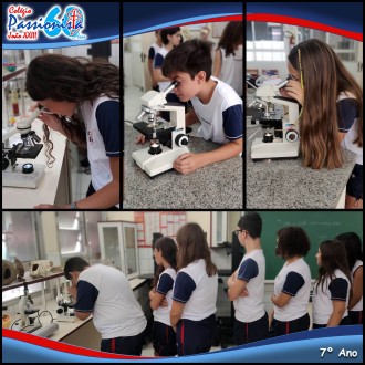Microscopia - Colégio Passionista João XXIII Microscopia - Colégio Passionista João XXIII